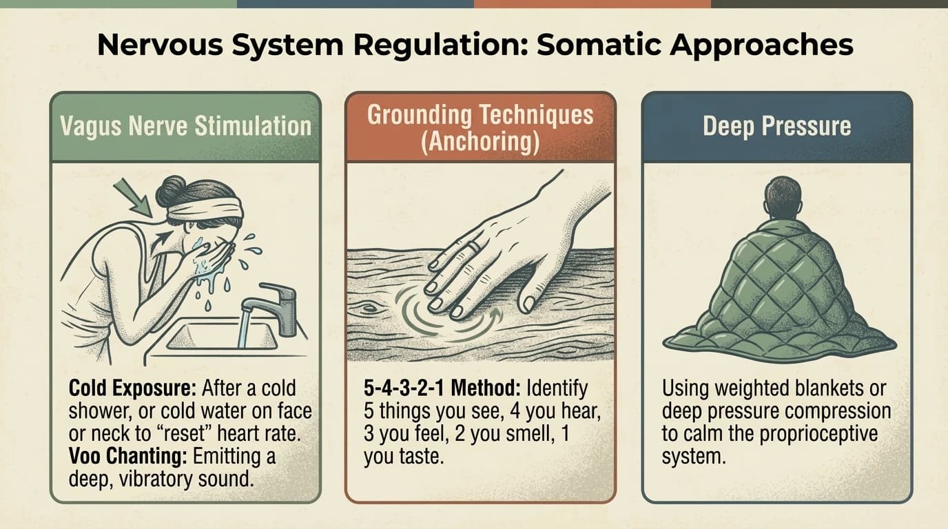 Three somatic approaches for nervous system regulation: vagus nerve stimulation, grounding, breathing techniques